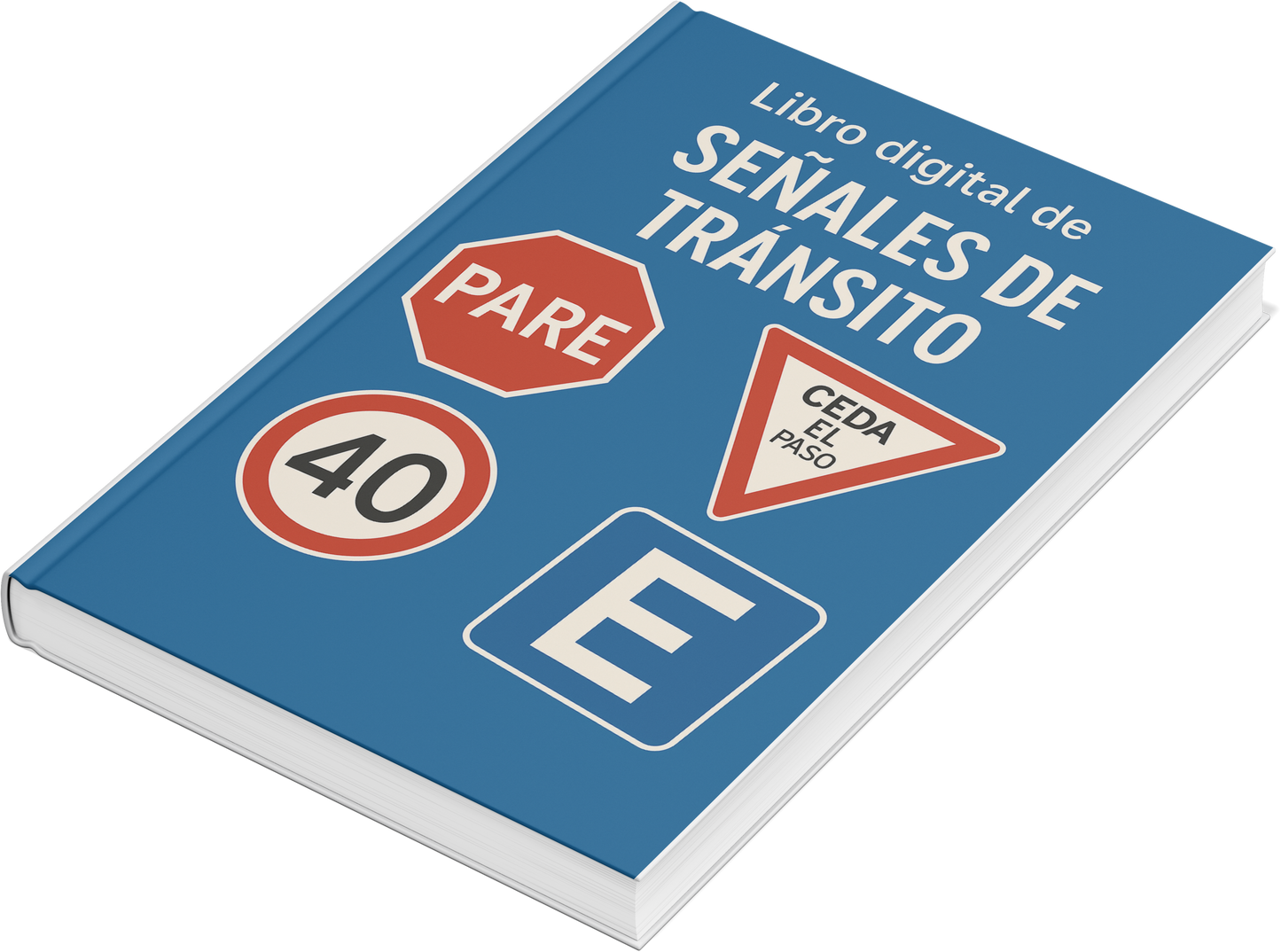 GUIA LICENCIA DE CONDUCIR